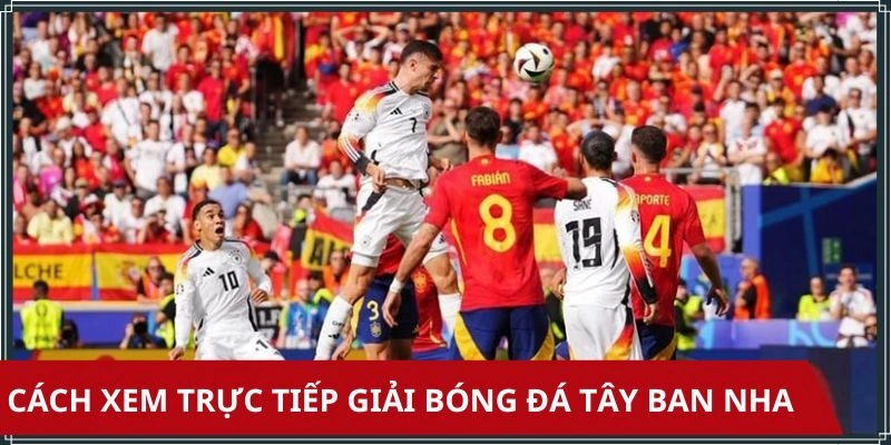 Cách xem trực tiếp bóng đá Tây Ban Nha mỗi ngày