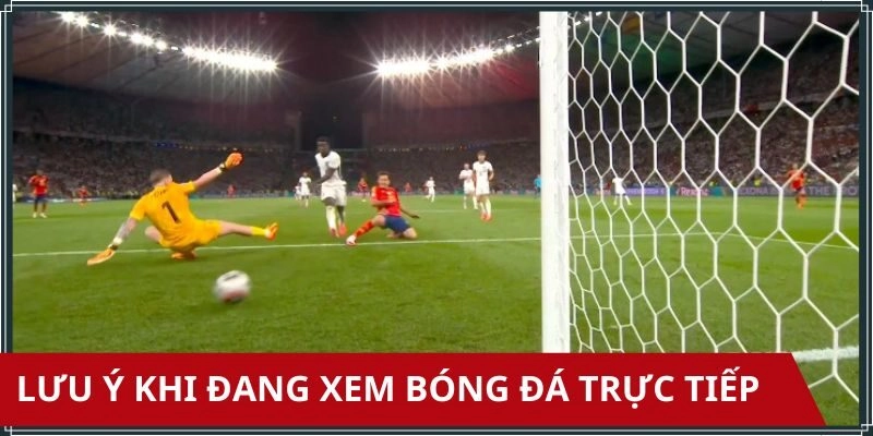 Vài điều cần nhớ khi xem bóng đá trên trang web