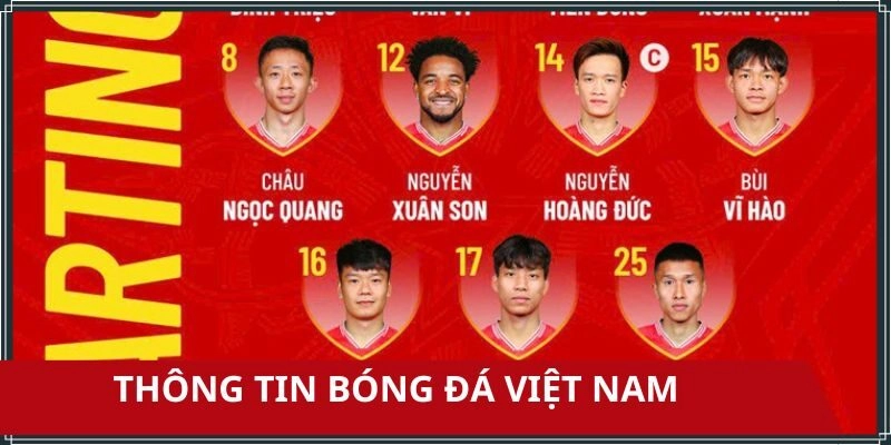 Thông tin trực tiếp bóng đá Việt Nam