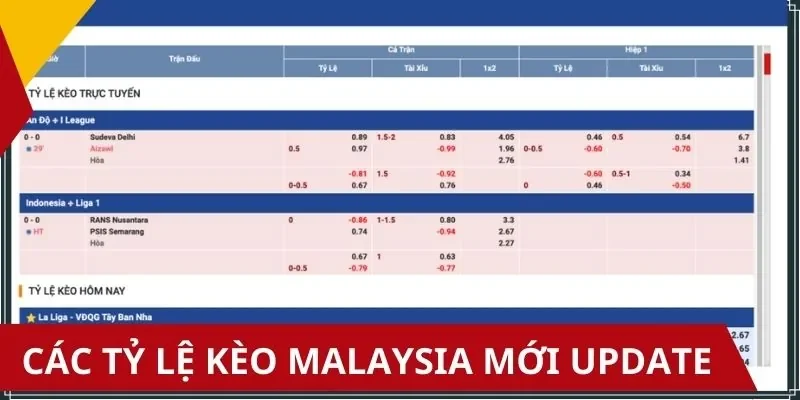 Hướng dẫn cách đọc tỷ lệ kèo Malaysia chuẩn dân chuyên